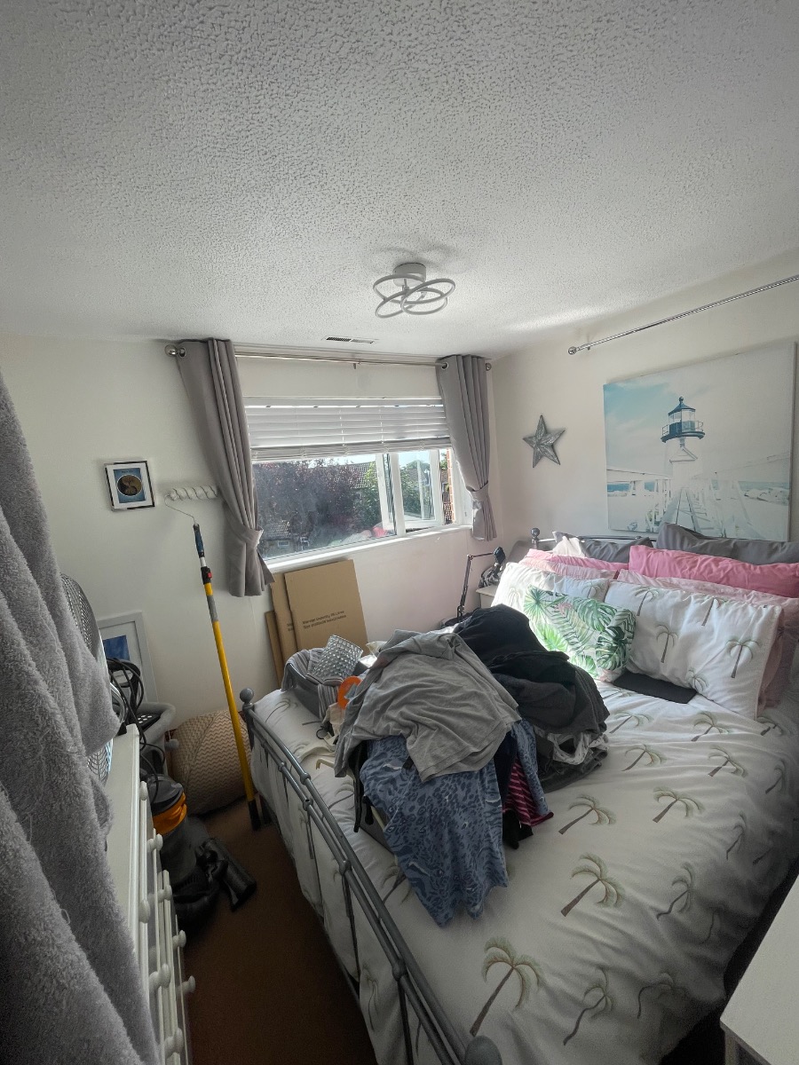 Painter and Decorator: Image 9
